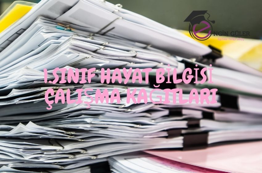 1.Sınıf Hayat Bilgisi Çalışma Kağıtları